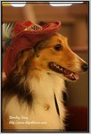 IMG_1447z