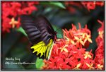 IMG_1804az
