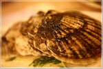 IMG_1806z