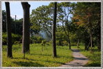 IMG_1789z