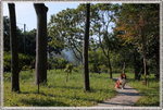 IMG_1791z