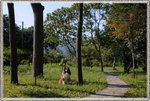 IMG_1794z