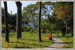 IMG_1811z