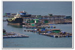 IMG_2514z
