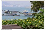 IMG_2519z