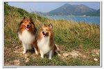 IMG_2544z