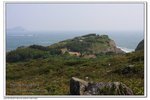 IMG_2549z