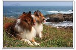 IMG_2590z