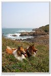 IMG_2607z