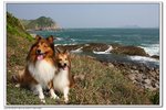 IMG_2633z