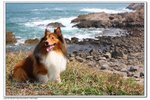 IMG_2645z