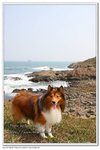 IMG_2656z
