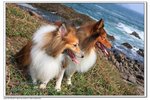 IMG_2711z