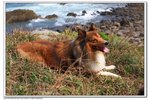 IMG_2726z