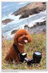 IMG_2756z