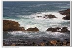 IMG_2764z