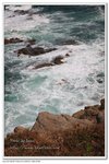 IMG_2851z
