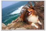 IMG_2899z