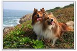 IMG_2963z