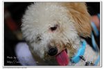 IMG_3047z