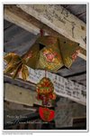 IMG_3056z