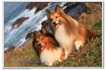 IMG_3077z