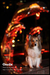 IMG_0543z