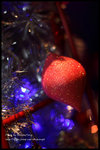 IMG_0652z