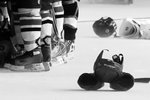 _MG_0090