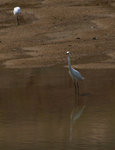P6060460