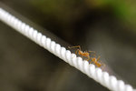2009_0405_132919edz