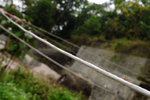 2009_0405_133233edz