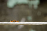2009_0405_133508edz
