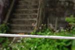 2009_0405_133648ORz