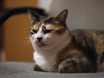2009_0326_013557edz