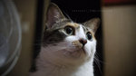 2009_0326_035157edz
