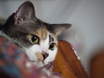 2009_0424_175500ORz