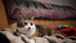 2009_0427_004835ORz