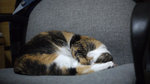 2009_0509_213721ORz