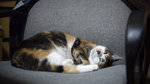 2009_0509_214232ORz