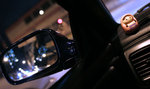 IMG_4178az