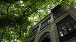 2009_0322_140156ORz