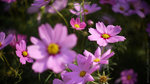 2009_0314_093301ORzz