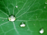 2887001866_d4db6d360f_o