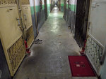 2009_0211_194751edz