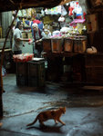 2009_0211_200352edz