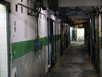2009_0211_202801edz
