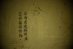 2009_0308_152602ORz