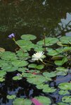 DSC_3855