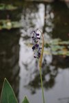 DSC_3860